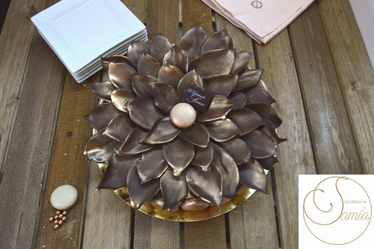 Choco-Noisettes pralinées